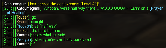 Level 40.png